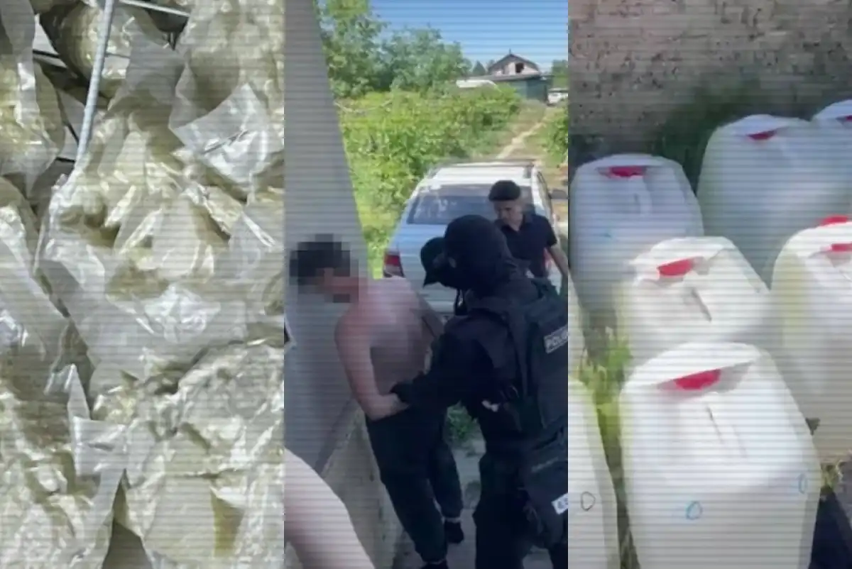 МВД показало сокрушительный удар по наркобизнесу – ВИДЕО