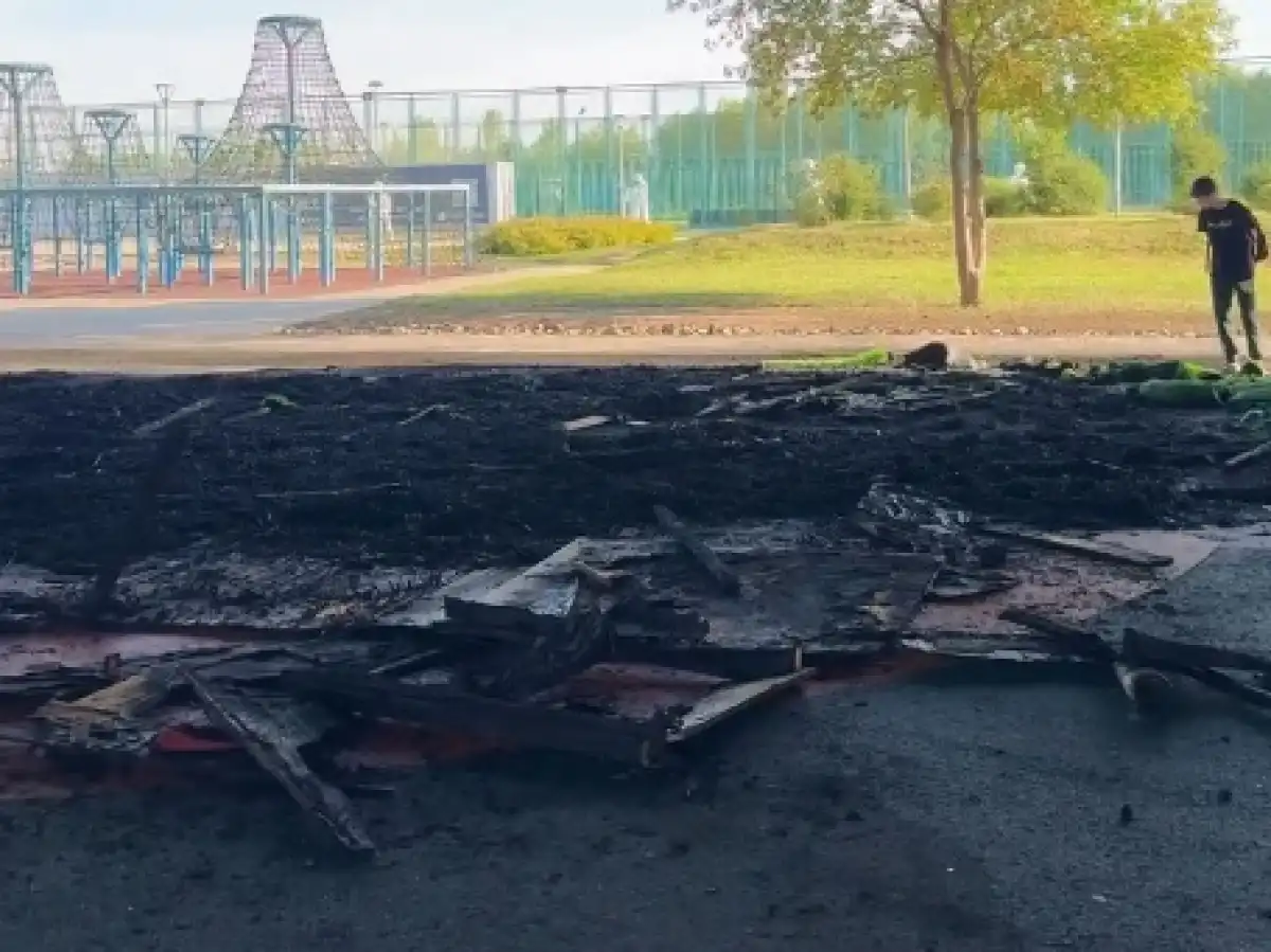 Новые подробности о пожаре в парке рассказали в ДЧС Астаны