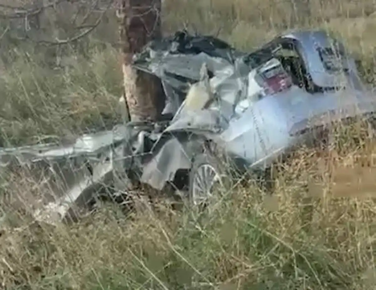 Автоледи врезалась в дерево в Туркестанской области: погибли четверо детей и взрослый