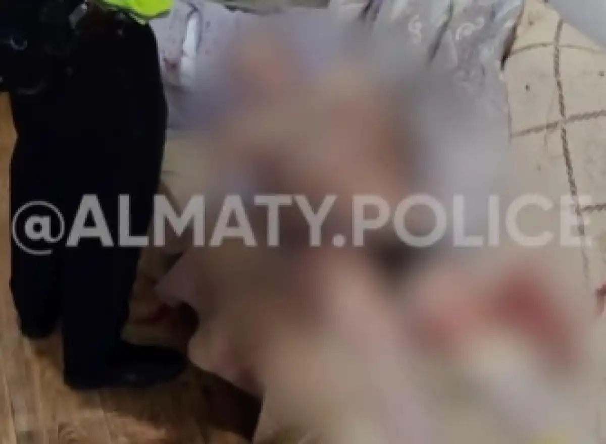 Жителя Алматы подозревают в убийстве отчима