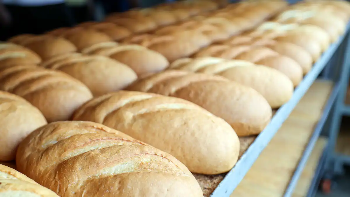 Производители социальных продуктов получат ощутимую скидку на электроэнергию