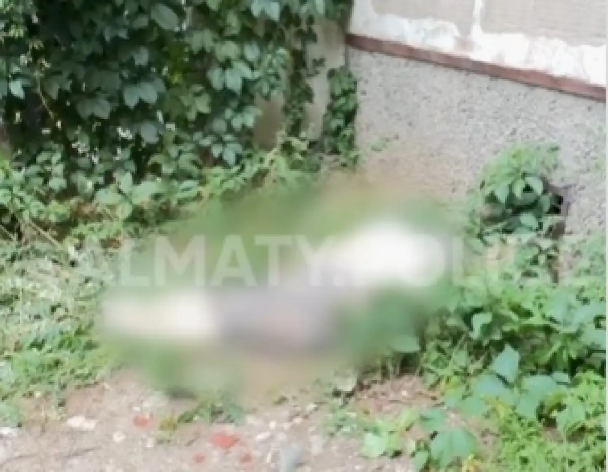 Пенсионерка упала с 5-го этажа и разбилась насмерть в Алматы