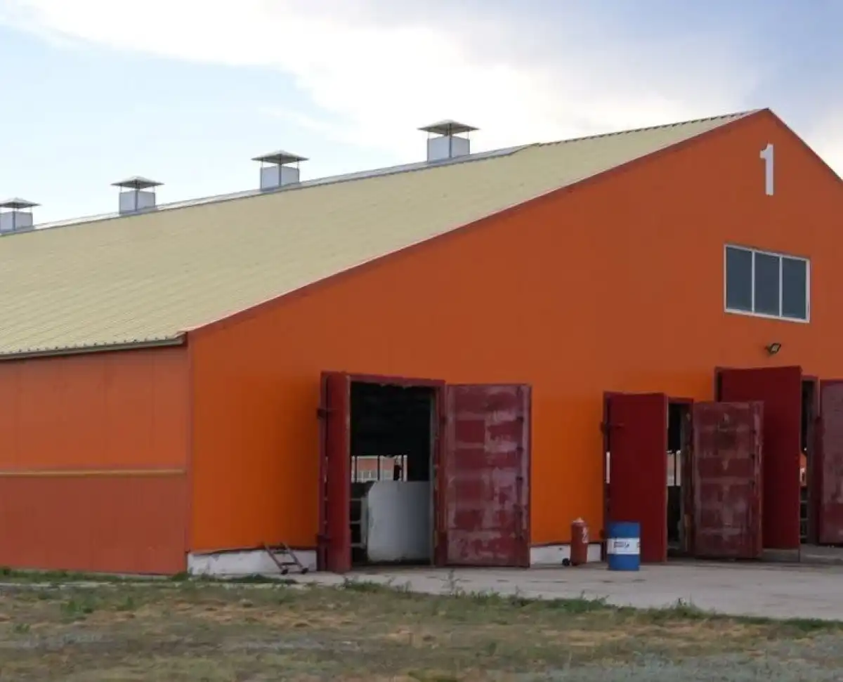Спецкомиссия установит причину гибели шести работников Aqtogai Milk