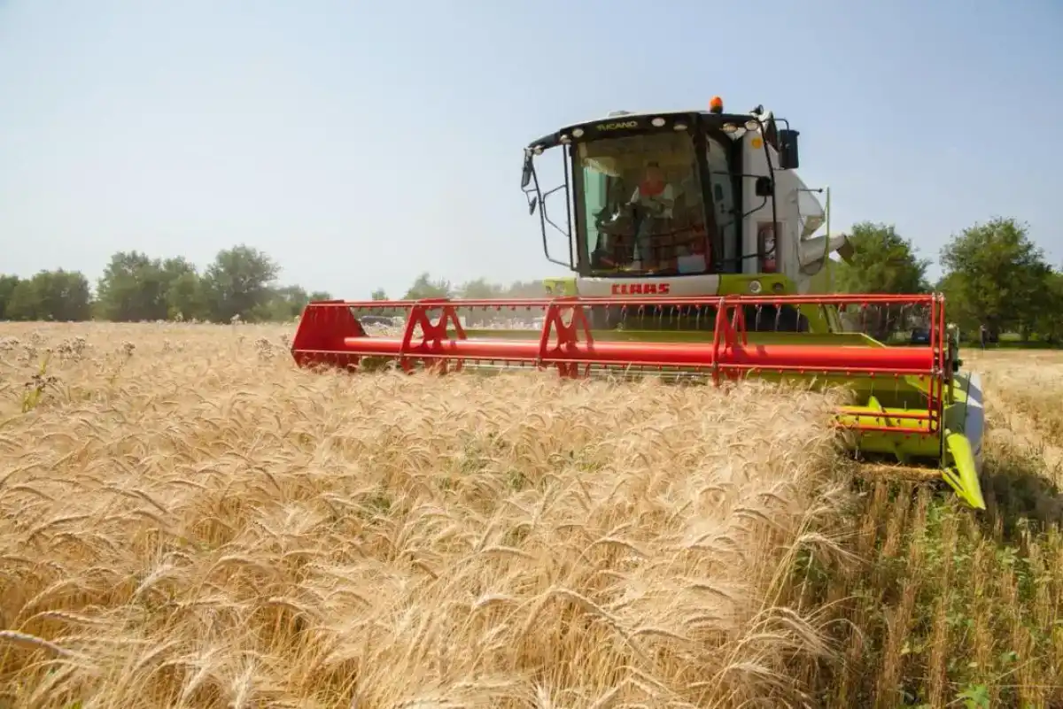 Экспорт продукции агропромышленного комплекса достиг $7 млрд в Казахстане