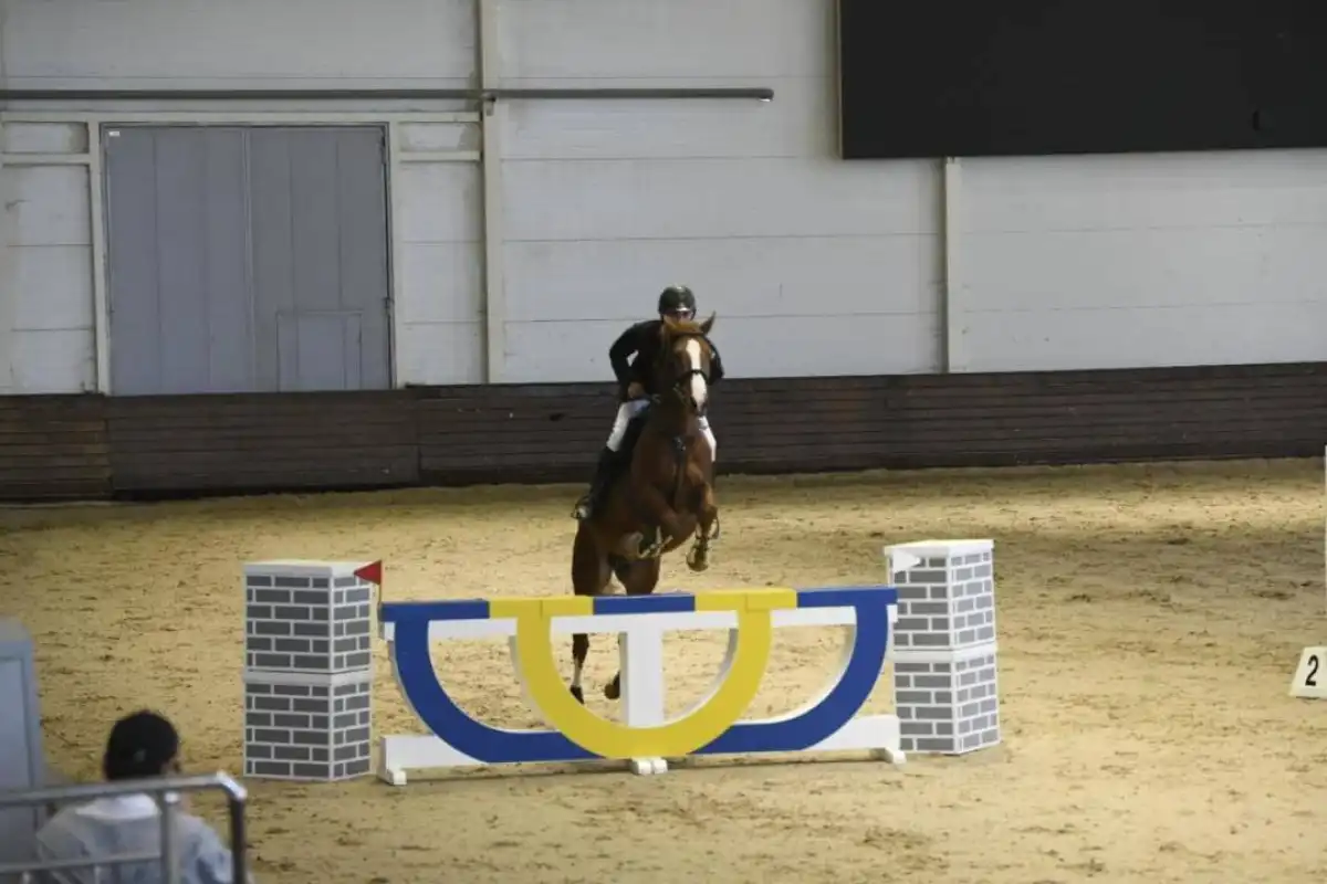 35 всадников борются за Кубок Казахстана по конкуру в Астане