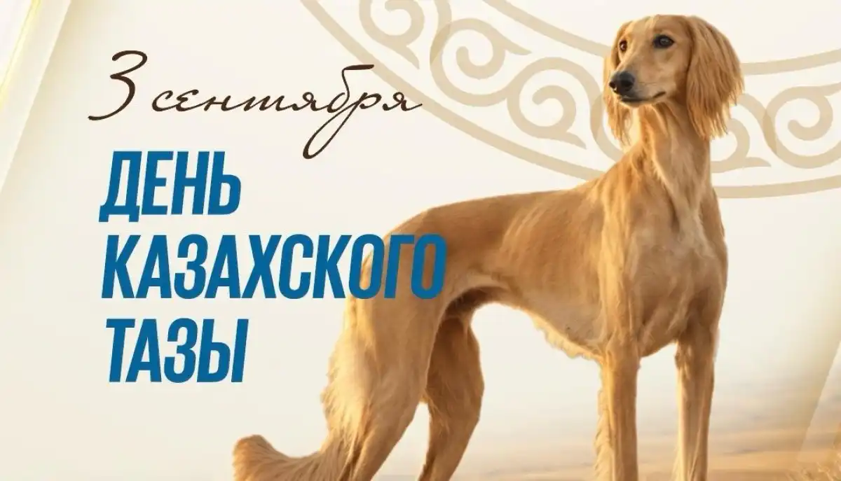В Казахстане впервые отмечают День казахского тазы