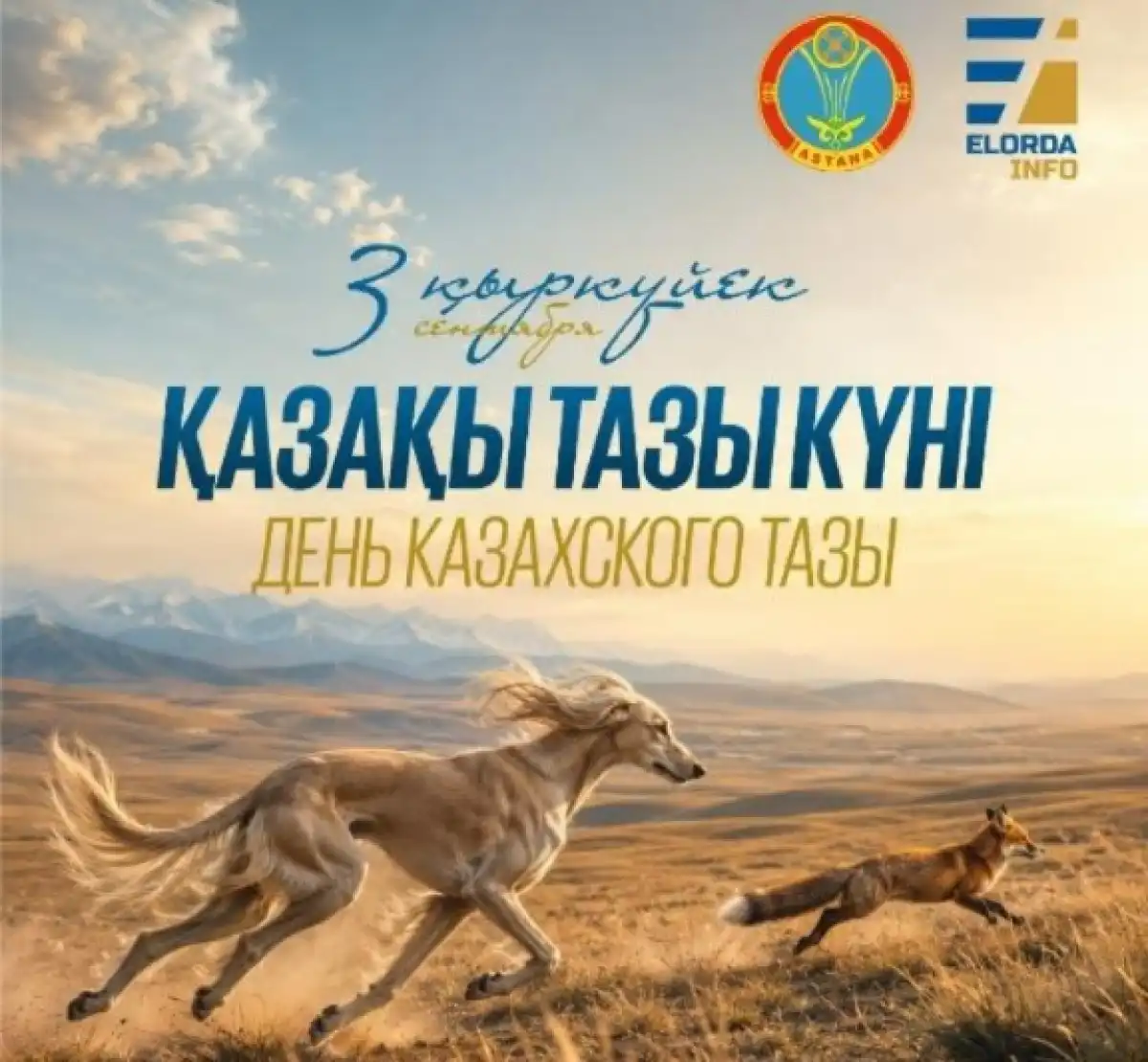 Творческий челлендж в честь казахской тазы запустили в Астане