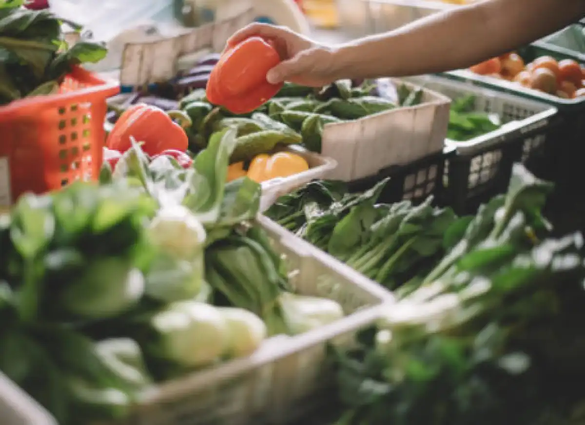 Продукцию кызылординских и атырауских фермеров представят на ярмарке в Астане