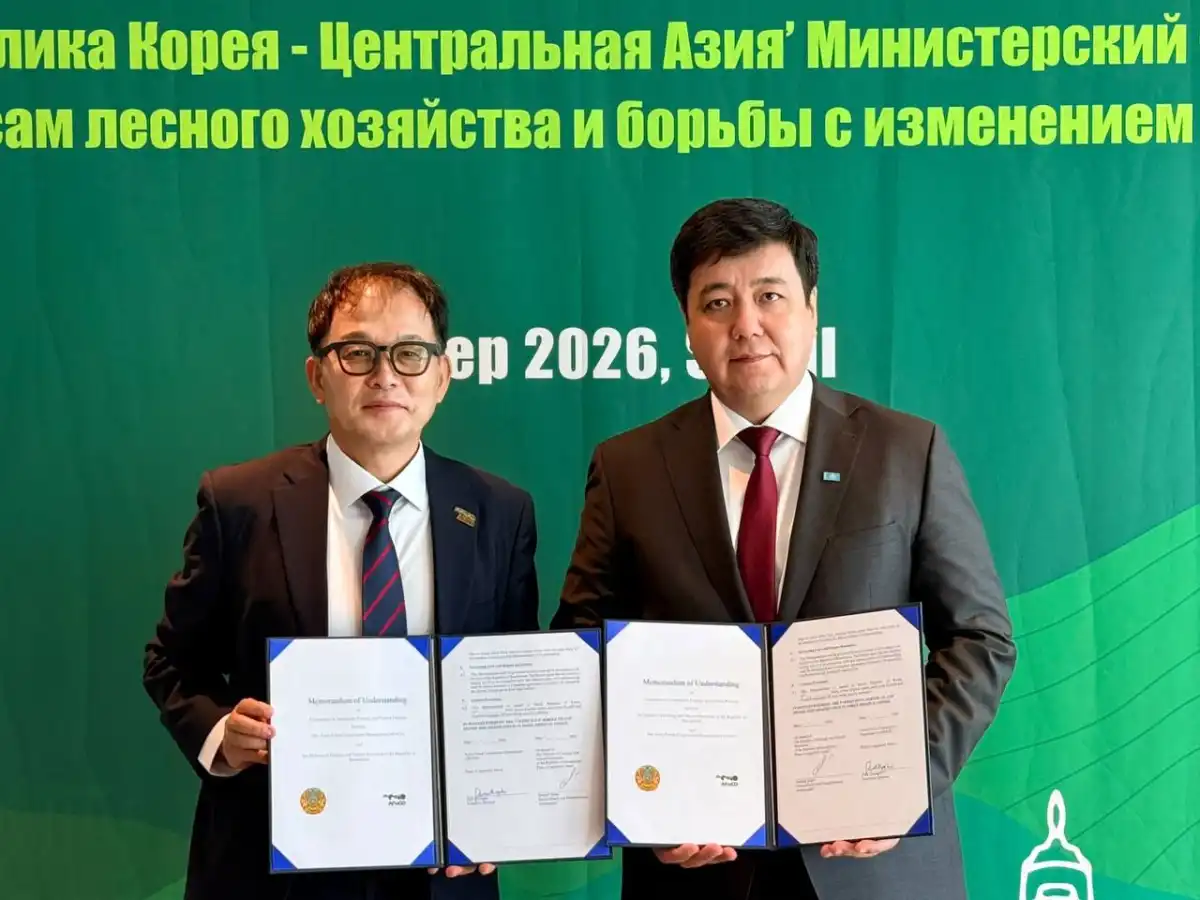 Казахстан и Южная Корея расширяют сотрудничество в лесной сфере