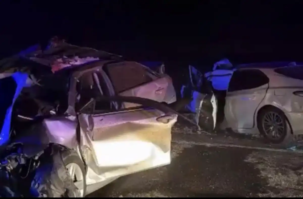 Сбили верблюда и вылетели на встречку: 4 человека погибли в ДТП в Мангистауской области