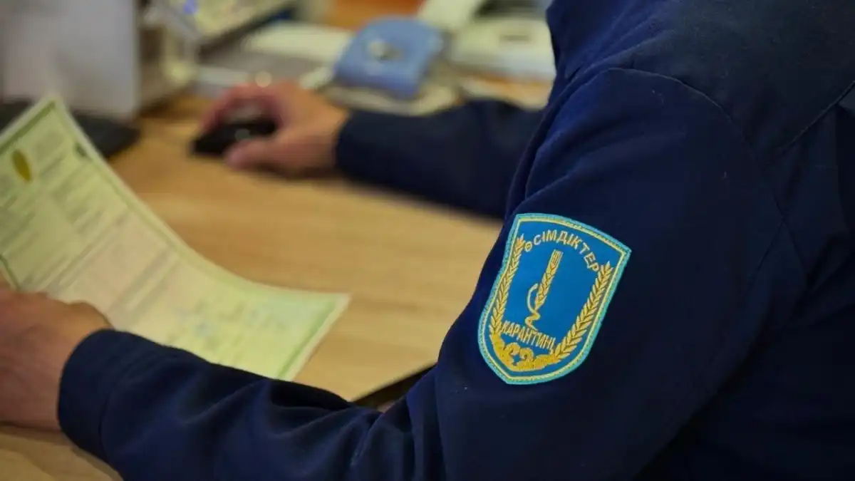 Более тысячи нарушений при ввозе подкарантинной продукции выявили в Казахстане
