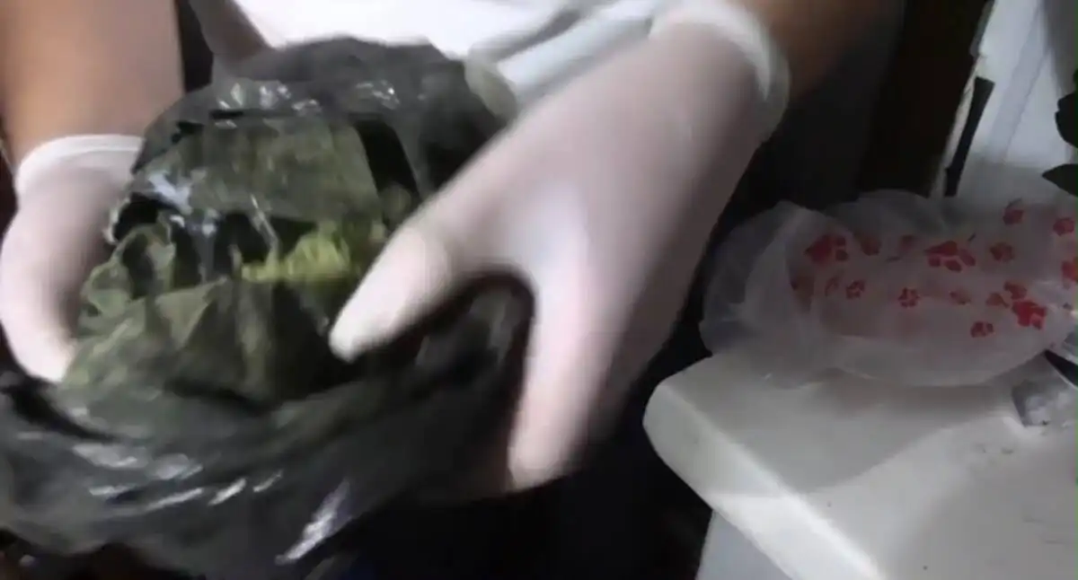 Свыше 12 кг марихуаны возил в сумке житель Жамбылской области - ВИДЕО