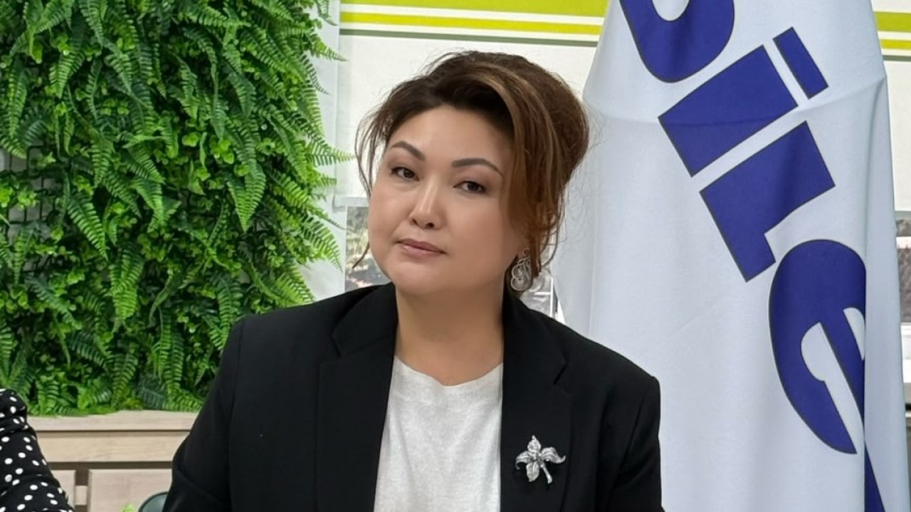 Салтанат Дженалаева: Развитие здравоохранения должно сопровождаться поддержкой медицинских работников